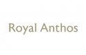 Royal Anthos